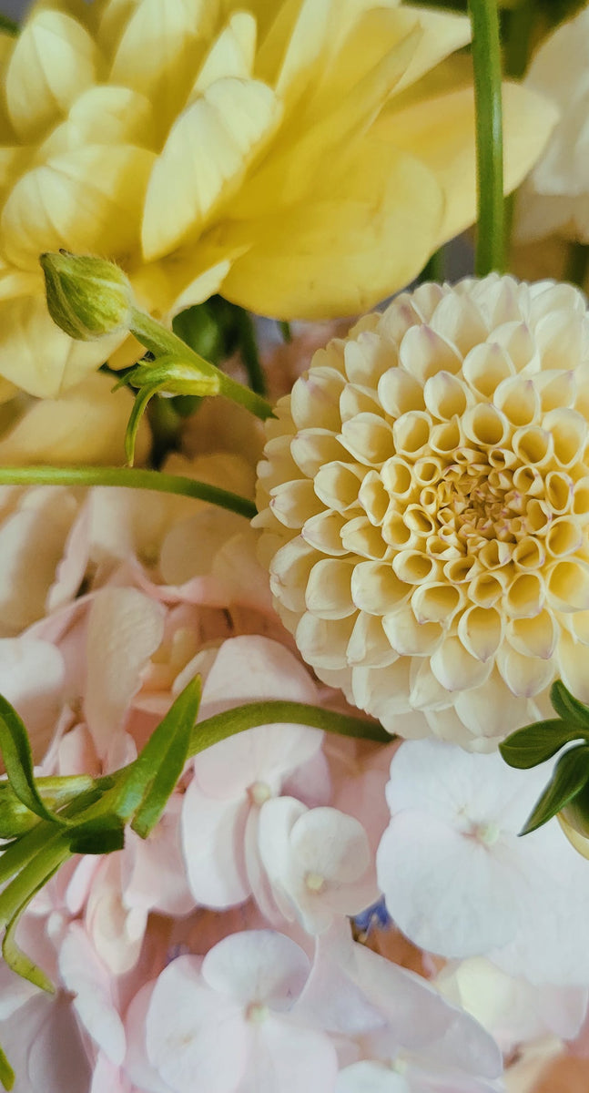 in 2024 with a bold and beautiful flower bouquet Flowerbee HK