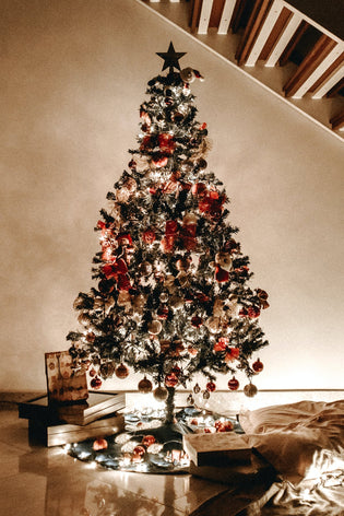  Ideas For Decorating your Christmas Tree