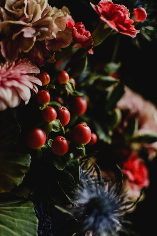  Christmas Flowers in Hong Kong