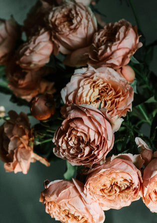  Ecuador roses sold by Hong Kong florists