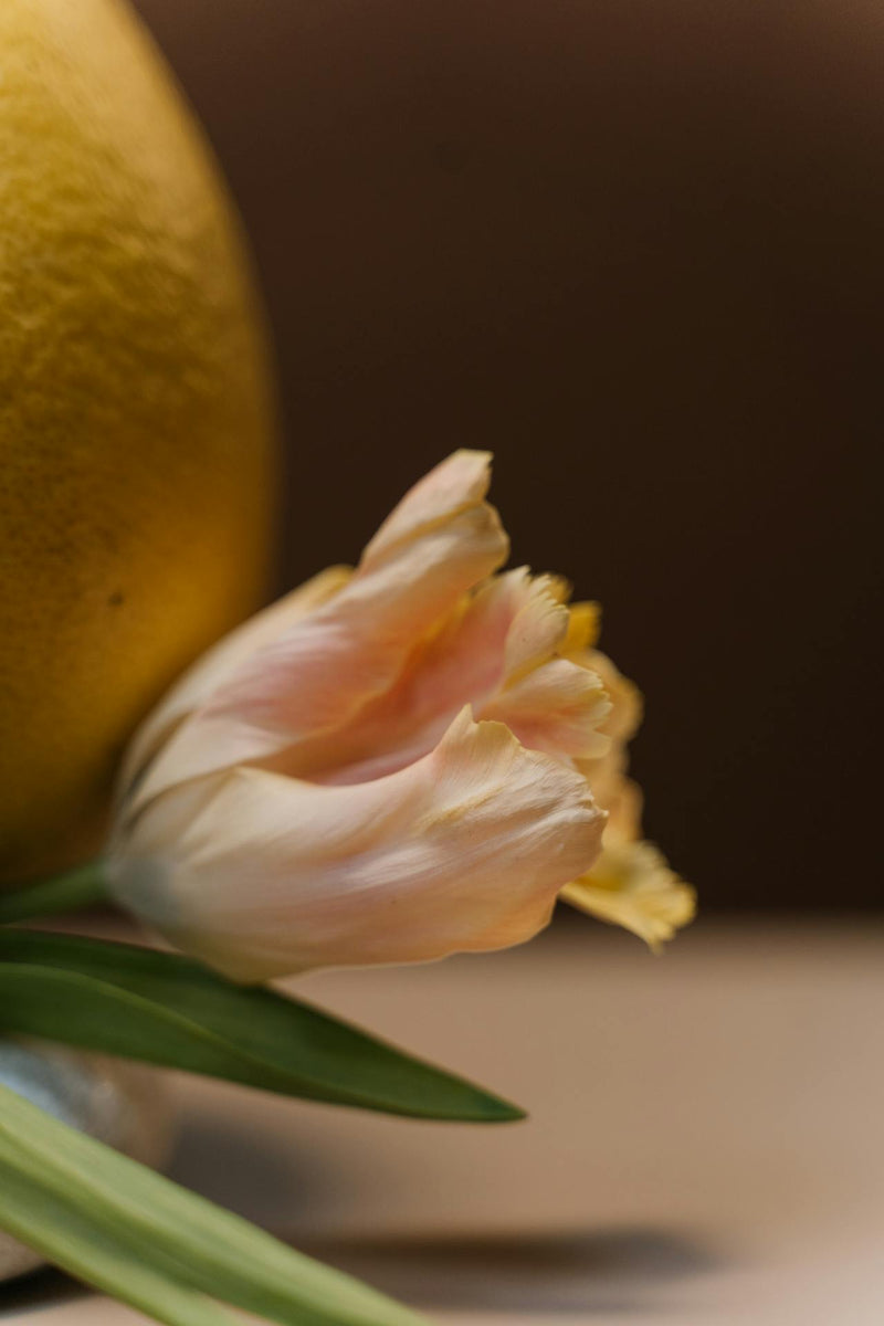 中秋節香港送水果籃 Flowerbee HK Florist Hong Kong Flowers Hong Kong Flower