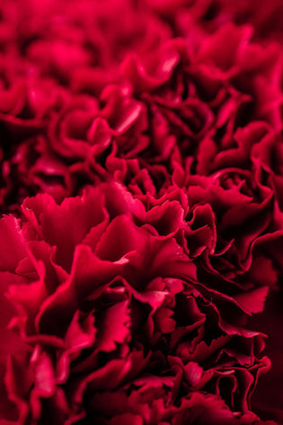  Hong Kong love flower bouquets for romantic occasions