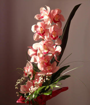  HK florist orchids