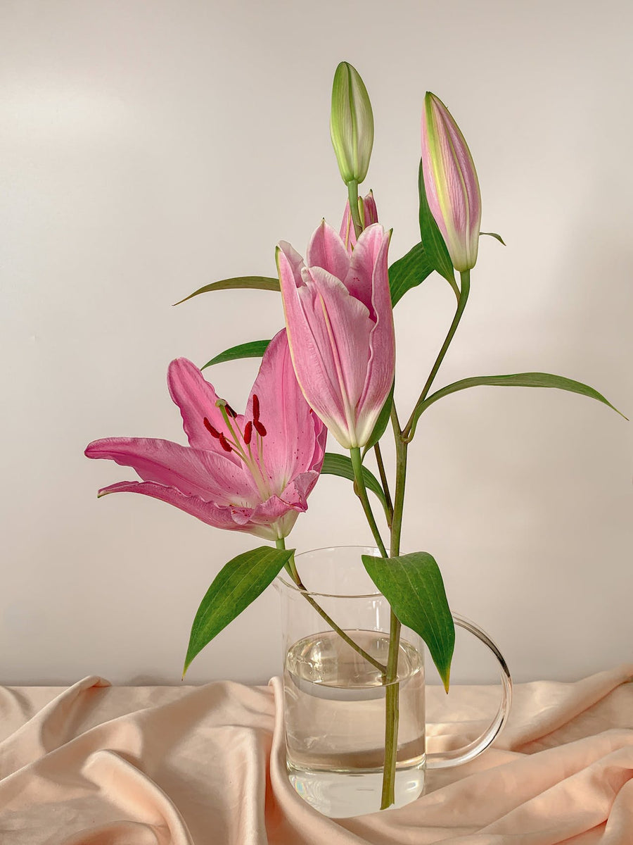 A guide to the lily flower – Flowerbee HK Florist - Hong Kong Flowers ...