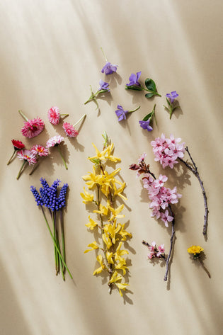  A-Z Guide to the art of floristry