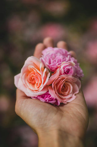  Eco-friendly florists in Hong Kong