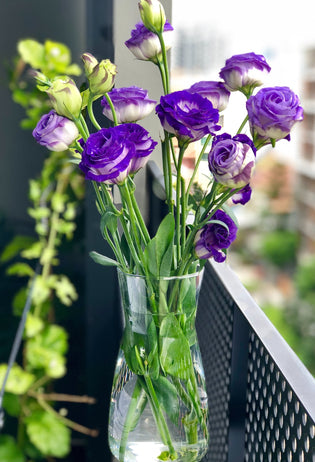  Hong Kong florist - flower care tips