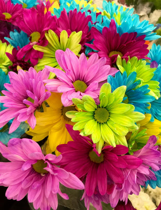  flower market in Hong Kong