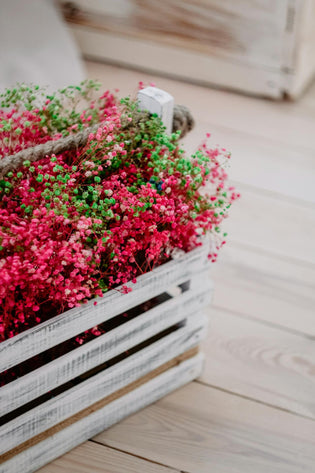  flower subscription HK