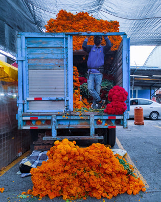  Guide to India's vibrant flower markets