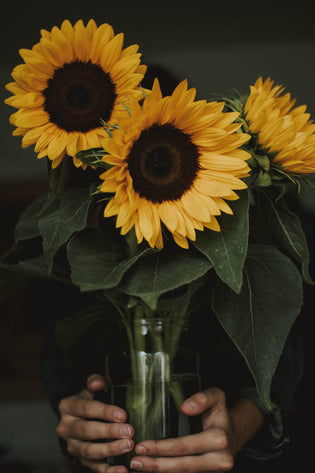  Sunflower bouquet delivery HK