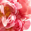 Mother's Day: Coral Peony Bouquet