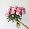 Mother's Day: Pink Peony Bouquet