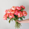 Mother's Day: Coral Peony Bouquet